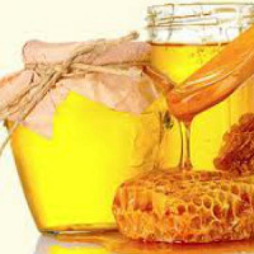 Мед для организма польза. Польза меда для организма человека
