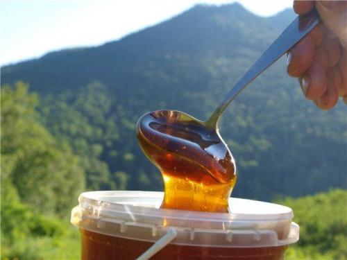 Мед горное разнотравье. Полезные свойства и противопоказания горного мёда