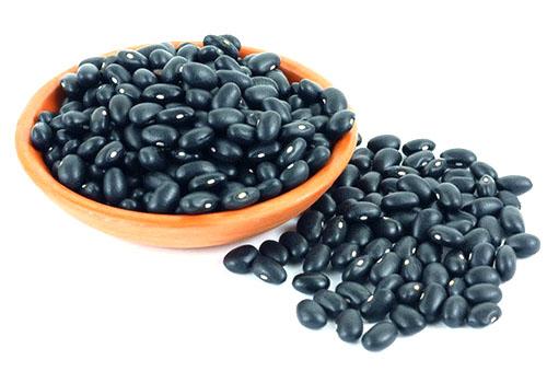 Фасоль черная полезные свойства. Отличие чёрных бобов