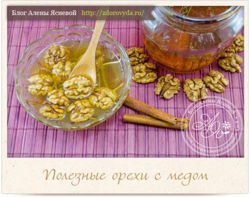 Орехи с медом, как называется. Орехи с медом — рецепты приготовления полезных медово-ореховых смесей
