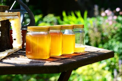 Мед полезные свойства и вред. История меда