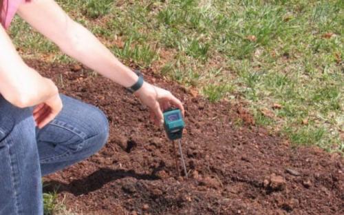 Чем ощелачивать почву. Как определить кислотность почвы