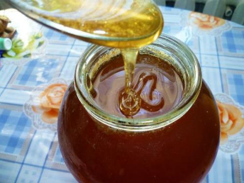 Белый горный мед. Горный мёд — природное лекарство