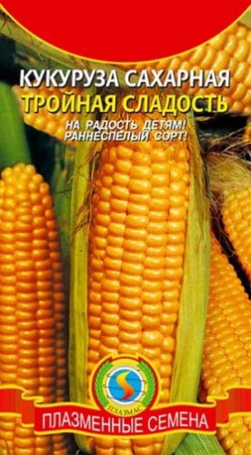Лучшие сорта кукурузы для Сибири