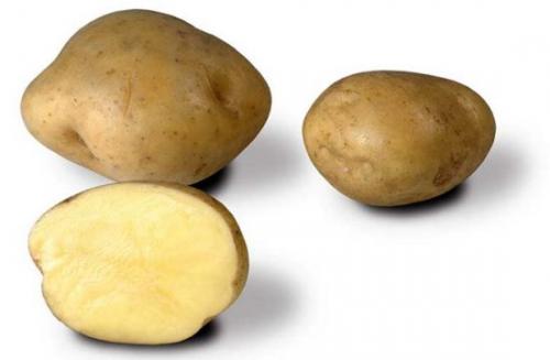 Суперранние сорта картофеля. Лучшие ультраранние сорта
