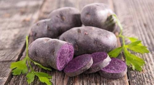 Синяя картошка польза сорт. В чем особенность фиолетового картофеля: минусы, плюсы и лучшие сорта