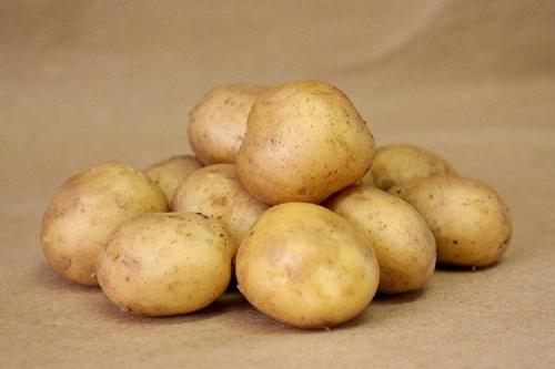 Сорта картофеля Гала. Описание сорта картофеля Гала