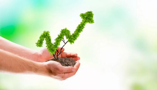 Что такое бано эко вешняки