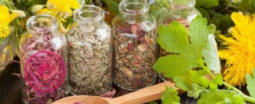 Как правильно готовить травы для очищения организма