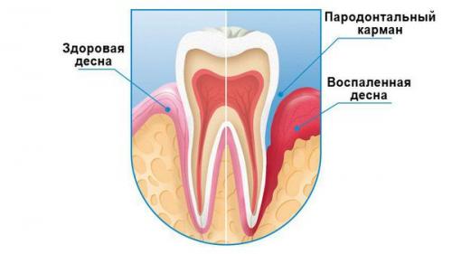 Как изменились стандарты стоматологической помощи за последние годы