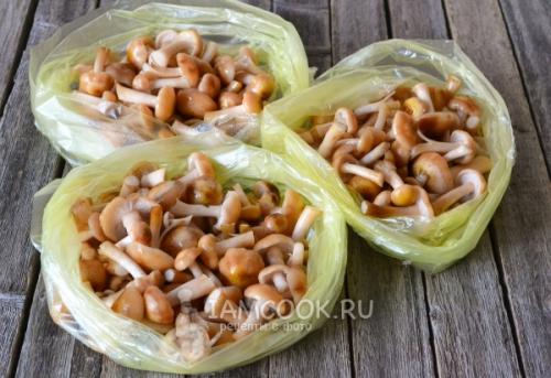 Какие продукты наиболее подходят для опятой варки заморозки Какие продукты наиболее подходят для опятой варки заморозки