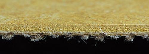 Какие преимущества и недостатки имеет линолеум на пол в квартире