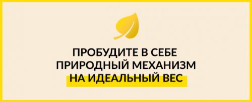 Компот из терна польза и вред. Терн польза и вред компот