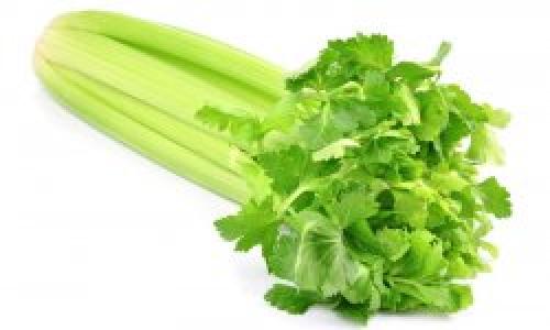 Влияет ли чеснок на улучшение сердечно-сосудистой системы. Научные факты о влиянии чеснока на кровь — разжижает ли он ее или сгущает?