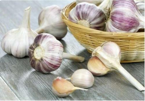 Влияет ли чеснок на обмен веществ и похудение. Чеснок при похудении: полезные свойства
