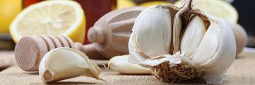 Влияет ли чеснок на обмен веществ и похудение. Чеснок при похудении: полезные свойства