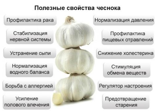 Влияет ли запах чеснока на кровяное давление. Научные факты о влиянии чеснока на кровь — разжижает ли он ее или сгущает?