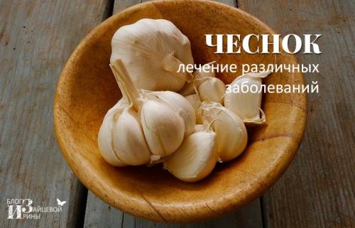 Используется ли запах чеснока в народной медицине. Способы применения чеснока в народной медицине