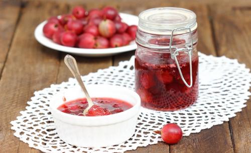 Польза и вред ягод и листьев крыжовника. Северный виноград: польза, вред и кулинарное применение крыжовника 02