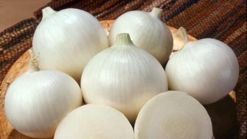 Белый лук стардаст. Описание гибрида