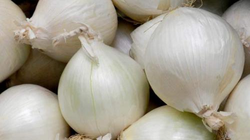 Белый лук стардаст. Описание гибрида