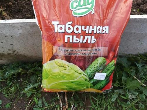 Как бороться с вредителями, которые могут появиться на горьком перце. Тля