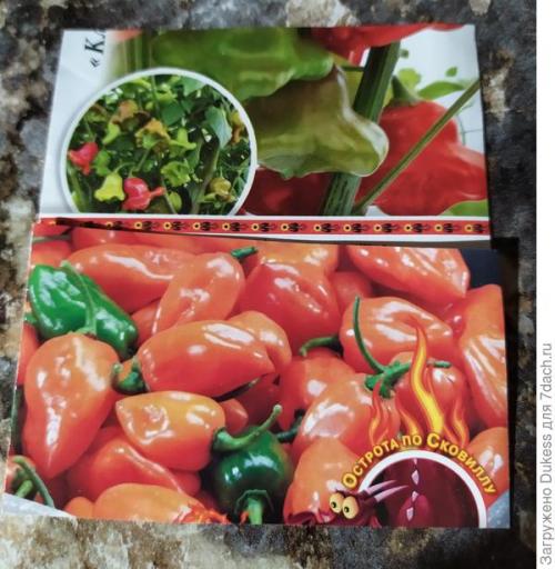 Как выбрать подходящие семена для выращивания острого перца. Горький перец. Мои любимые сорта и гибриды