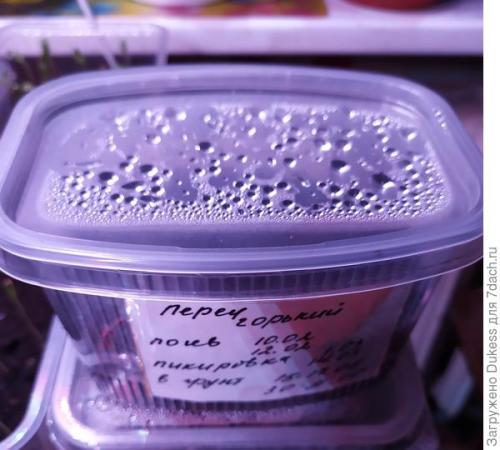 Как выбрать подходящие семена для выращивания острого перца. Горький перец. Мои любимые сорта и гибриды