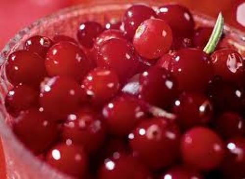 Клюква где растет в казахстане. Клюква