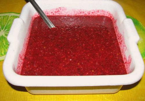 Как хранить клюкву, протертую с сахаром. Клюква с сахаром на зиму без варки — 5 пошаговых рецептов