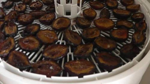 Как сушить сливу на улице. Как сушить чернослив в домашних условиях: сушим сливы на солнце, в духовке и электросушилке