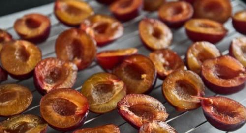 Как сушить сливу на улице. Как сушить чернослив в домашних условиях: сушим сливы на солнце, в духовке и электросушилке