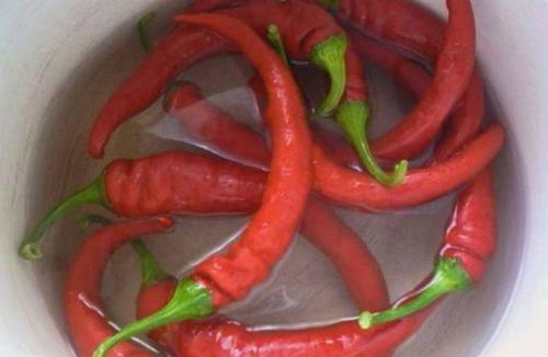 Какие существуют способы приготовления острых перцев для длительного хранения. Горький перец, маринованный на зиму