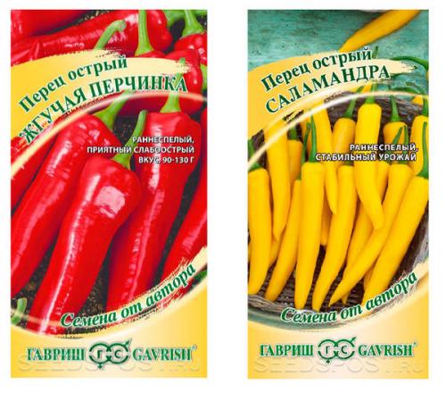 Как собирать урожай острого перца, чтобы он долго сохранялся. Как созреет острый перец - запасу приправу впрок