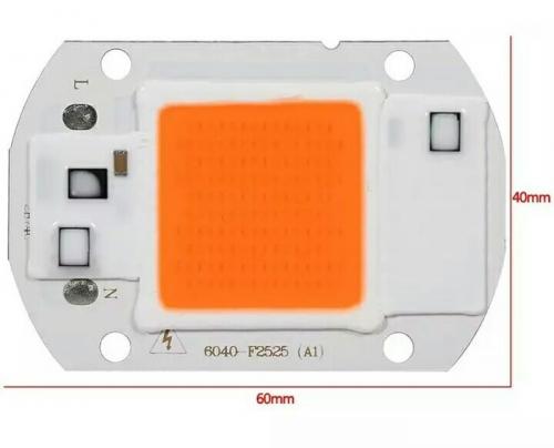 Влияет ли освещение на плодоношение жгучего перца. Острый перец, необходимость в досветке (част. 1)