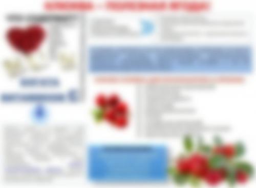 Действительно ли клюква так полезна. 15 фактов о клюкве 06