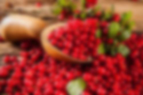 Действительно ли клюква так полезна. 15 фактов о клюкве 03