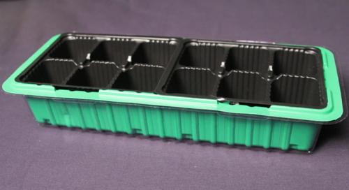 Острый перец на подоконнике: как вырастить жгучий плод дома 03 Острый перец на подоконнике: как вырастить жгучий плод дома 03