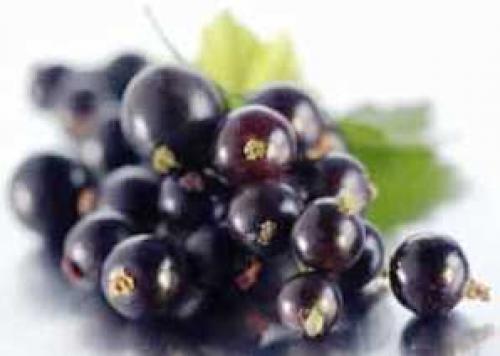 О пользе черной смородины. Что приготовить из черной смородины 04