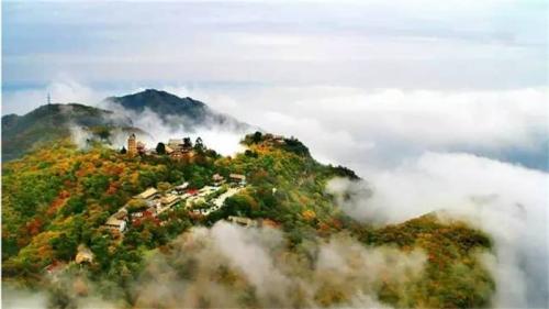 В каких регионах мира наиболее популярно производство горного мёда. Китай, известные сорта меда: акациевый, личи, витекс и мармелад.