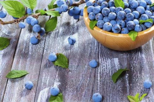 Терн съедобный. Характеристика ягод терна