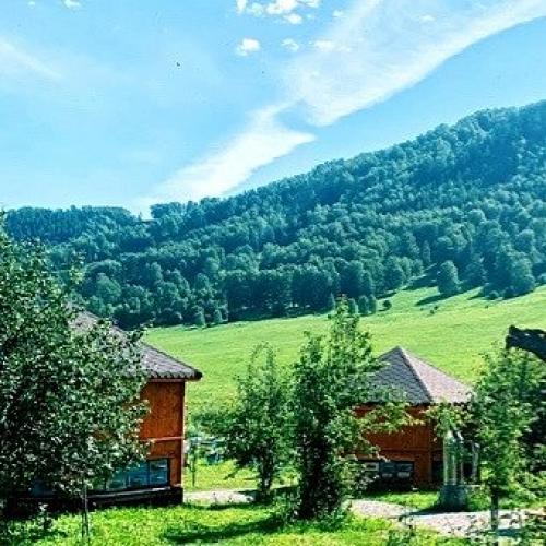 Мед горное разнотравье: полезные свойства и секреты натурального здоровья 01