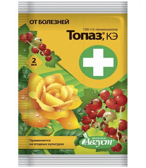 Как обеспечить защиту клубники от вредителей и болезней после пересадки в мае. Препараты для весенней обработки клубничных плантаций