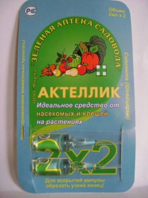 Как обеспечить защиту клубники от вредителей и болезней после пересадки в мае. Препараты для весенней обработки клубничных плантаций