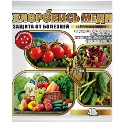 Как обеспечить защиту клубники от вредителей и болезней после пересадки в мае. Препараты для весенней обработки клубничных плантаций