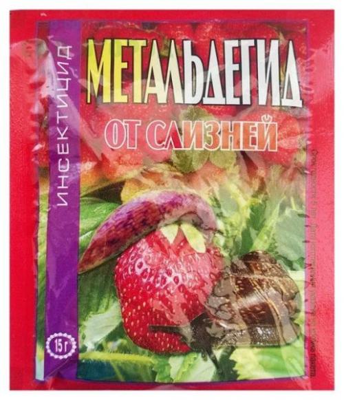 Как обеспечить защиту клубники от вредителей и болезней после пересадки в мае. Препараты для весенней обработки клубничных плантаций