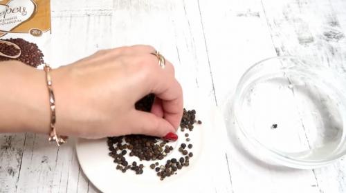 Черный перец на подоконнике: как вырастить пряность у себя дома 03 Черный перец на подоконнике: как вырастить пряность у себя дома 03