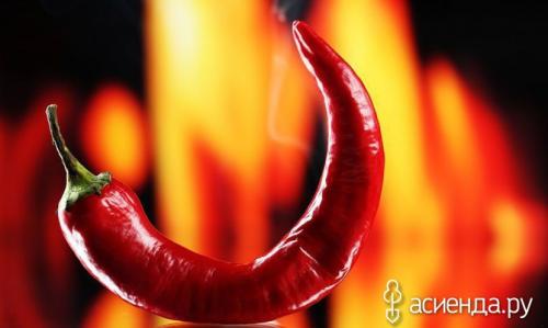 Какие условия необходимы для выращивания черного перца на подоконнике. Выращиваем горький перец на подоконнике