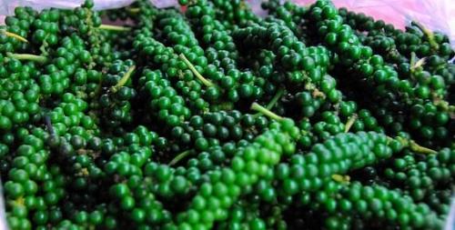 Как обеспечить оптимальную освещенность для растений черного перца. Чёрный перец в природе и в домашних условиях