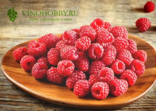 Закваска из малины для вина. Вино из малины в домашних условиях